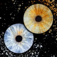 Iris photo william B Besancon