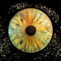 Iris photo william B Besancon