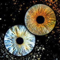 Iris photo william B Besancon